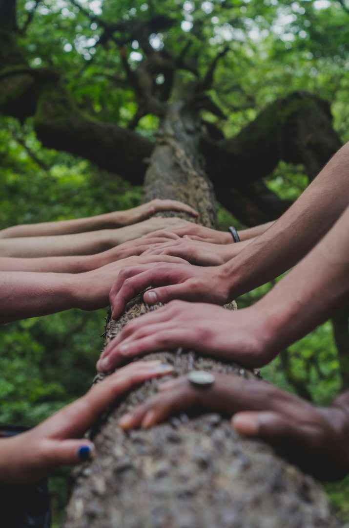 Collaborate With Us