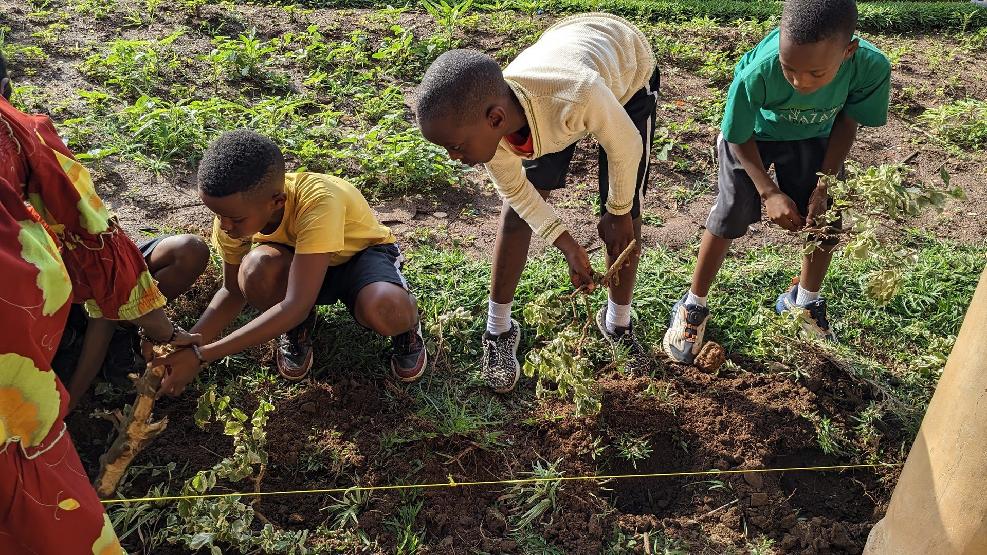 Young People Learning Through Environmental Action